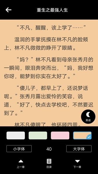 文竹小说手机版app