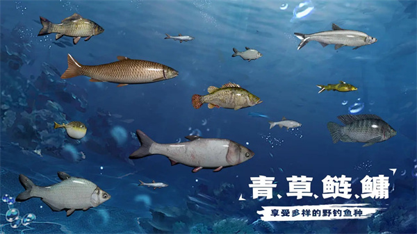 天天钓鱼水族馆收入怎么计算