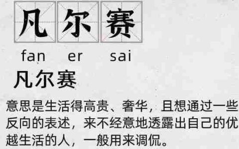 凡尔赛的网络意思(凡尔赛的网络意思英文)