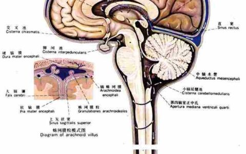 正常脑脊液压力(正常脑脊液压力是多少,超过多少为颅内压增高)