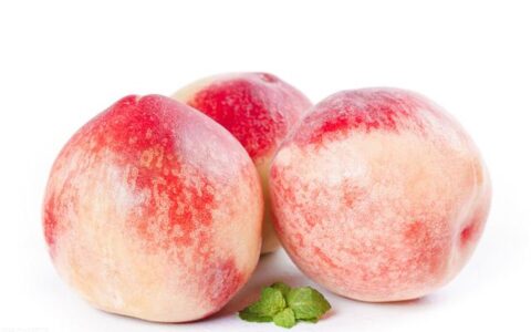 桃子是什么季节的水果(水蜜桃桃子是什么季节的水果)