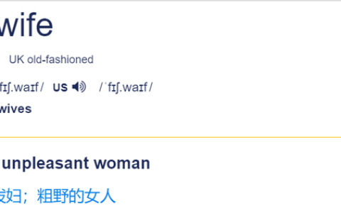 wife啥意思(偷wife用啥软件)