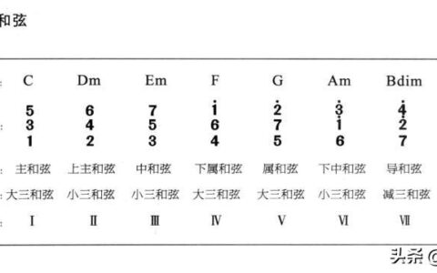 电子琴教学(电子琴入门自学视频教程)