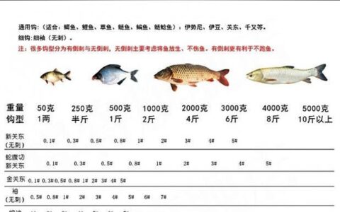 鱼钩大小对照表(鱼钩1号大还是5号大)