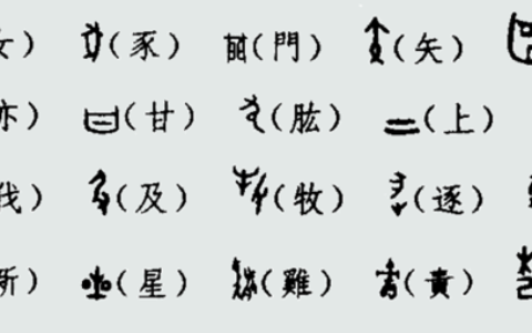 汉字演变史(汉字的演变资料)