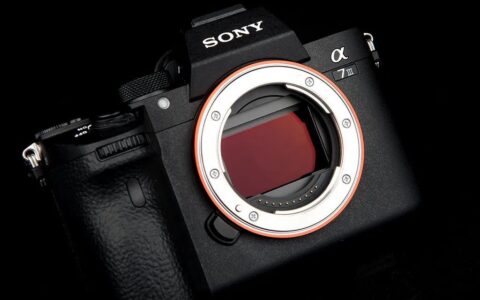 数码相机排行榜(十大ccd相机品牌排行)