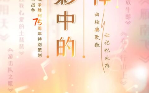 雁南飞原唱歌曲(雁南飞董文华演唱)