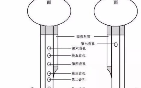 九孔葫芦丝指法表(九孔葫芦丝和七孔葫芦丝哪个好)