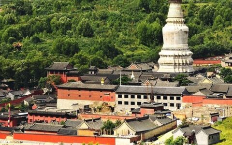 四大佛教寺庙在哪里啊(四大佛教寺庙在哪里建的)