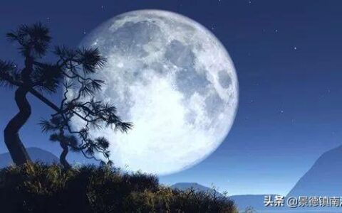 露从今夜白下一句是什么诗句(露从今夜白下一句是什么玩意儿)