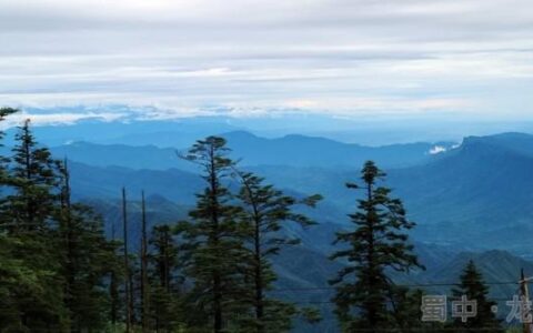 修道在蜀山一个无知的废物(蜀山修道传)