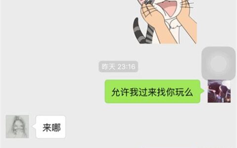 噗什么意思网络用语(女生发噗什么意思)