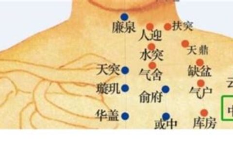 中府云门准确位置图和作用(中府云门准确位置图和作用视频)