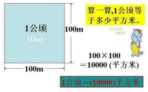 亩与平方米换算公式(亩与平方米换算单位)