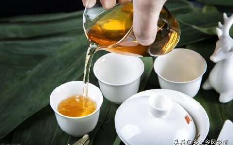 红茶品种前十名的(红茶品种有哪些)