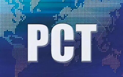 什么是国际PCT发明专利(发明专利号)