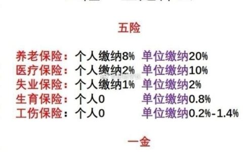 五险二金具体是什么都有什么作用(五险二金具体是什么意思)