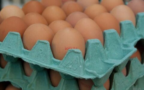 荠菜煮鸡蛋的功效与作用(荠菜煮鸡蛋的功效与作用经期能吃吗)