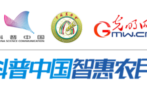 2厘米5毫米等于多少毫米(2厘米5毫米等于多少米)