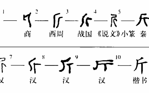 重量单位和质量单位是一样的吗(重量单位和质量单位是什么)