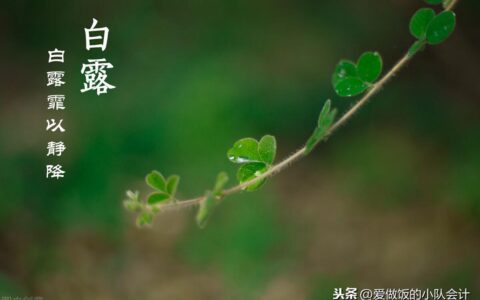 银耳炒菜配什么菜最好(银耳可以配什么菜炒)