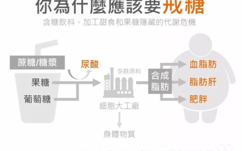 名仁苏打水是无糖的吗(名仁无糖苏打水里面真的不含糖吗)