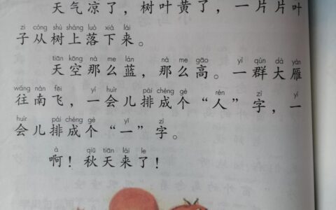 一字有几种读音及组词(一字有几种读音怎么用)