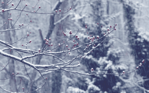 雪花是什么形状的像什么(雪花是什么形状的句子)