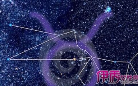 11月11号是什么星座的(11月11号是什么星座男)