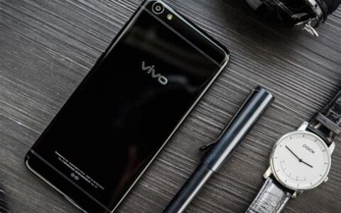 vivoxplay6(vivo xplay3s)