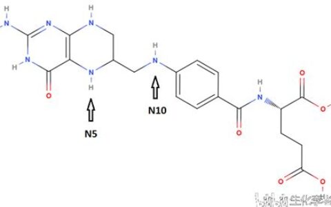 n10甲酰四氢叶酸的化学式(n10甲基四氢叶酸)