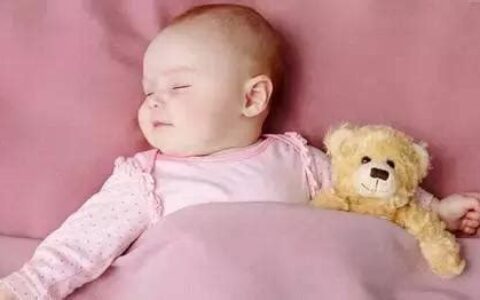 婴儿枕头几个月可以用(婴儿枕头品牌排行榜)