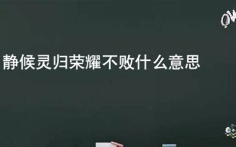 静候灵归什么意思(静候灵归前面一句是什么)