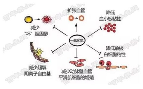 一氧化氮副作用有哪些(一氧化氮副作用及危害)