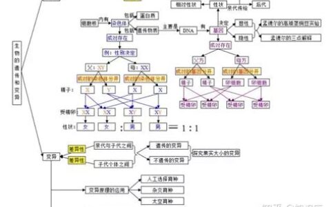 初一科学知识点归纳(初一科学成绩差要怎样补救)