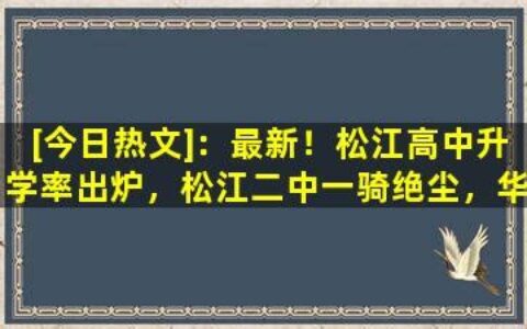 松江第一人才网招聘信息网(松江第一人才网招聘信息)