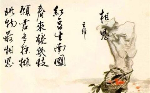 愿君多采撷jie还是xie(愿君多采撷,此物最相思)