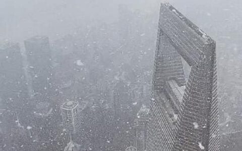 上海今年第一场雪(上海最近的一场雪)