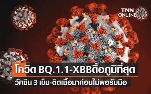 XBB、BQ.1会引发又一次感染高峰？专家：上半年出现高峰