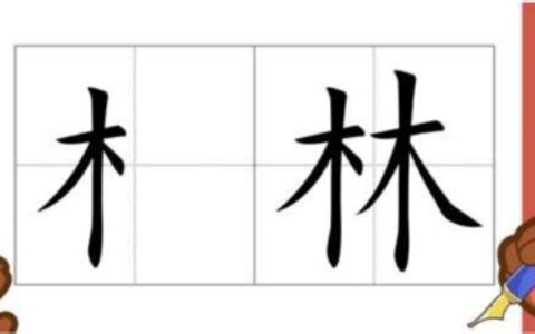 带木字的字有哪些(带木字的字女孩取名)