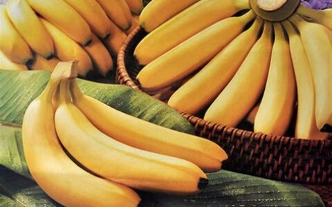 空肚子能吃香蕉吗?(宝宝空肚子能吃香蕉吗)