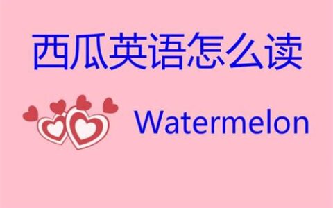 西瓜英语怎么读watermelon(西瓜英语怎么读 单词)