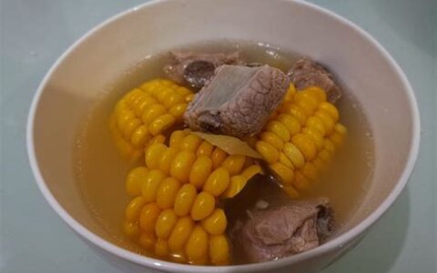 电饭锅炖排骨汤要多久(电饭锅炖排骨汤用哪个模式)