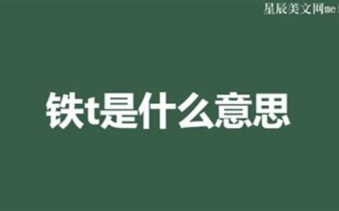 铁t是什么意思啊()