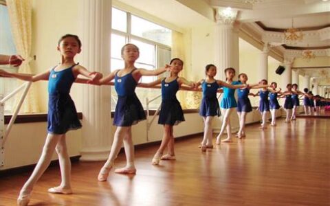 舞蹈培训机构排名(舞蹈培训机构开办条件)
