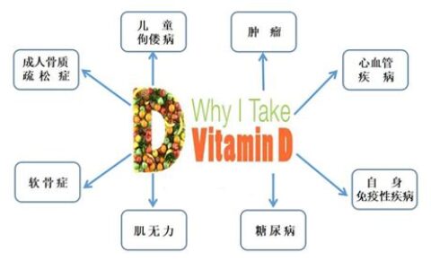 维生素d3是什么意思(维生素d3是什么东西)