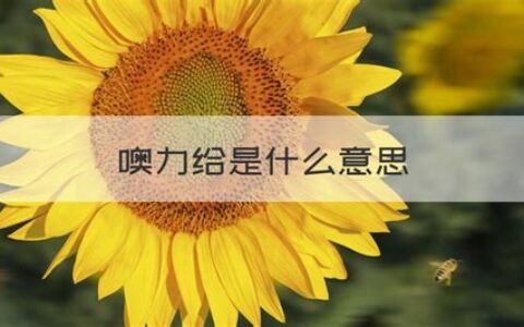 噢力给是什么意思啊(哦力给是什么歌)