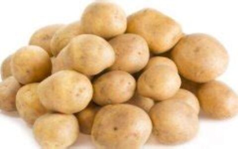 土豆是不是发物食物(土豆是不是发物的东西)