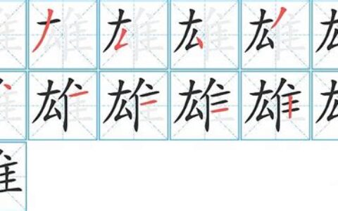 雄字拼音怎么写(雄字拼音怎么读音)