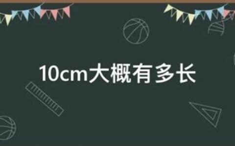 10cm大概有多长参照物(10cm大概多大)